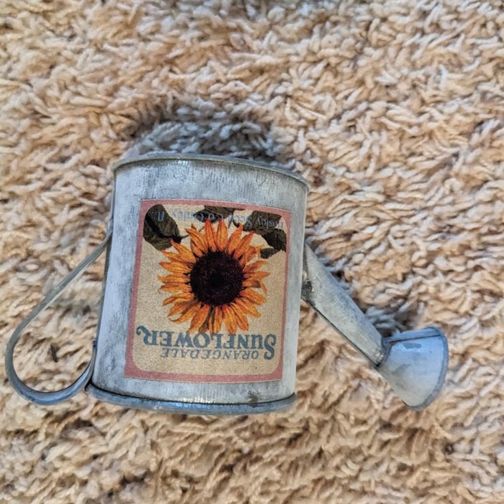 mini nostalgia water can